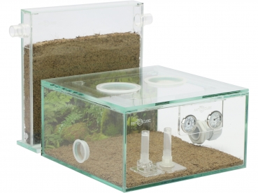 ANTCUBE Starter Kit S - 20x20 - Rainforest